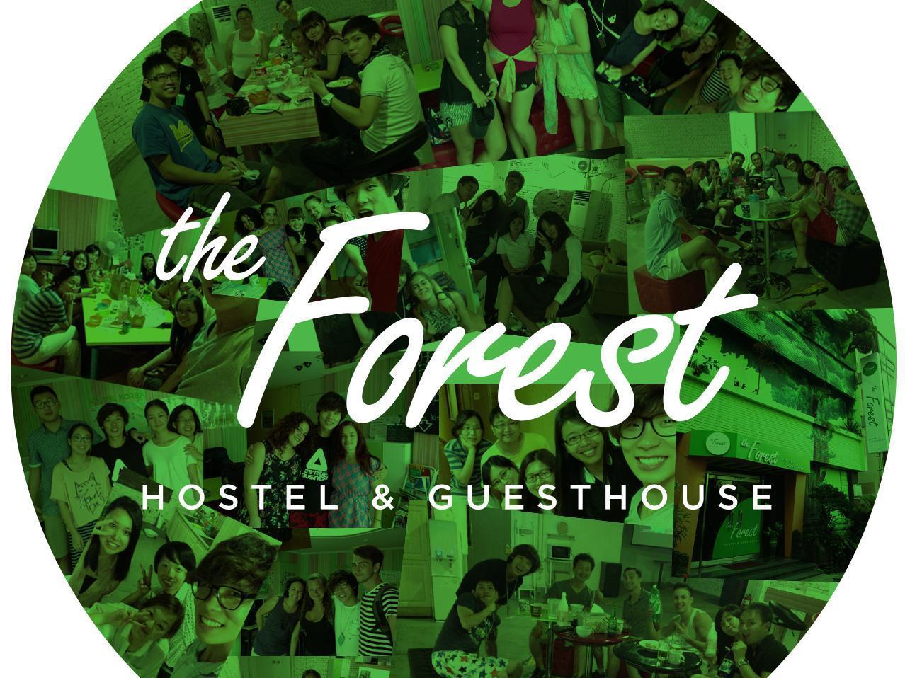 The Forest Hostel Jeju Extérieur photo